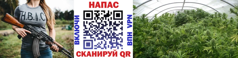 Где купить Вышний Волочёк Cocaine гидра как зайти Марихуана ГАШИШ Альфа ПВП