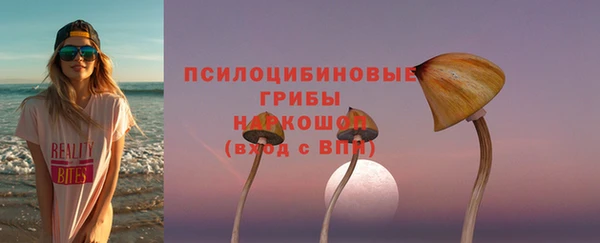 spice Абаза
