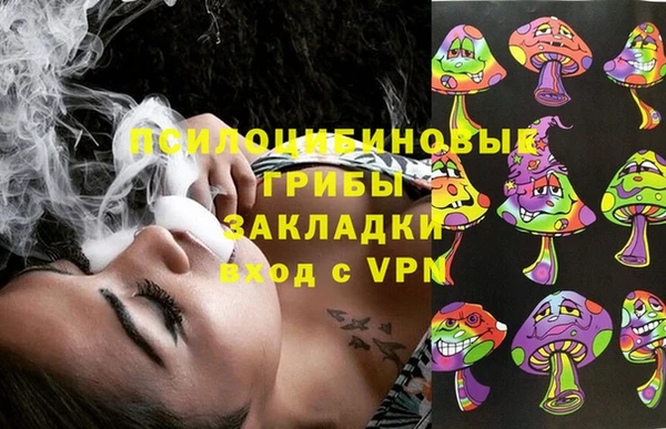 spice Абаза